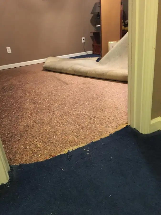 Carpet pad removal revealing water damage during Drying & Dehumidification in Darnestown