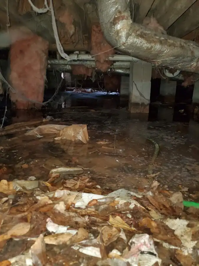 Crawl space flood assessment for Leak Detection & Repair in Darnestown