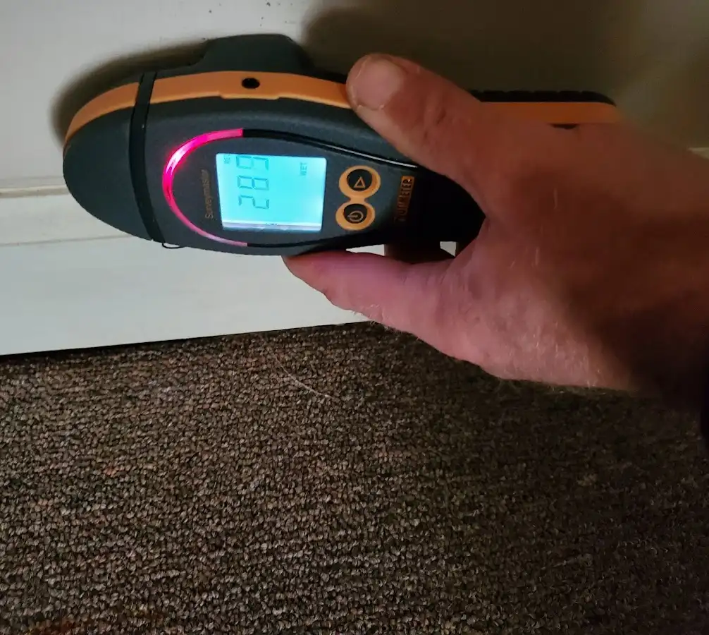 Moisture detection at baseboard during Burst Pipe Cleanup in Darnestown